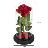 Rose in glass - shining Ruhhy 25682