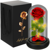 Rose in glass - shining Ruhhy 25682