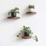 Dekorativna drvena zidna polica Raf283