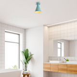 Luster Veysel - N - 679 - Tirkizna