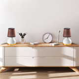 Set stolnih lampi (2 komada) Yıldo - 8024 - Set