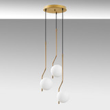 Luster Tulip - 13823