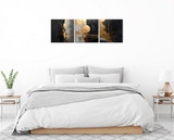 Dekorativna slika na platnu (3 komada) FAH22