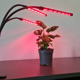 Lampa  20 LED 3kom za rast biljaka Gardlov 19242