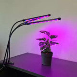 Lampa  20 LED 3kom za rast biljaka Gardlov 19242
