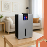 Srebrni odvlaživač zraka Ruhhy 26496