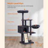 Mačje drvo PCT132G01