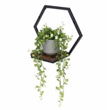 Zidni stalak za biljke, viseća polica za cvijeće, ukrasi, potkrovlje, šesterokut, moderni dom