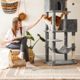 Drvo za mačke PCT162W01V1