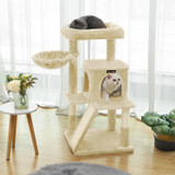 Drvo za mačke PCT51MV2