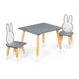 Set dječjeg stola i 2 stolice ECOTOYS