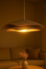 Luster BK220