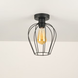 Luster Armut - 6676 - P