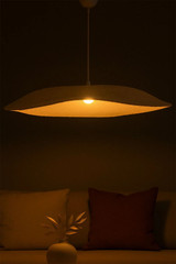 Luster BK217