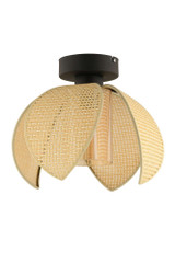 Luster 64884