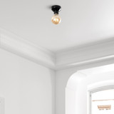 Luster Spot - 14207