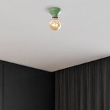 Luster - 14209