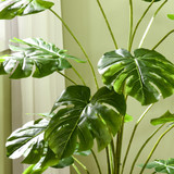 Vještačka biljka monstera u crnoj saksiji s mahovinom, zelena