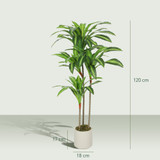 Vještačka dracena s savitljivim stabljikama i bijelom posudom, zelena