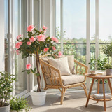 Vještačko drvo u cementnoj saksiji, roze