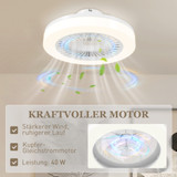 Plafonski ventilator s LED svjetlom i daljinskim upravljačem, 6 brzina, bijeli
