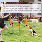 Agility set za pse, 7 dijelova, plavo-narandžasti