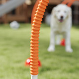 Agility set za pse s 4 podesiva vrata i torbom za nošenje, narandžasto-žuti
