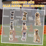 Agility set za pse s 3 prepreke i 6 čunjeva, narandžasti
