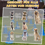 Agility set za pse sa 6 prepona, 12 čunjeva i torbom, plavi