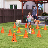 Agility set za pse sa 6 prepona, 12 čunjeva i torbom, narandžasta