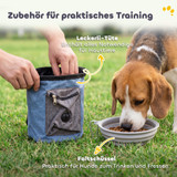 Agility set za pse od 11 dijelova s 2 tunela, preprekama i slalomom, narandžasti