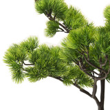 Umjetni bonsai bor s posudom 60 cm zeleni Umjetni bonsai bor s posudom 60 cm zeleni