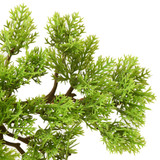 Umjetni bonsai čempres s posudom 60 cm zeleni Umjetni bonsai čempres s posudom 60 cm zeleni