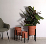 Stalci za biljke i cvijeće: kako odabrati idealan stalak za dom, balkon i vrt