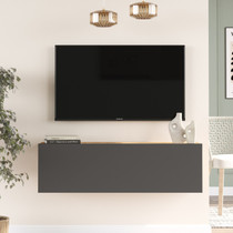 TV jedinica FR12-AA