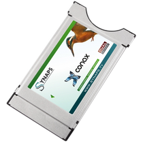 Synaps Conax CAM modul