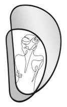 Zidno Ogledalonudity Cm 40,6x3,2x70,5