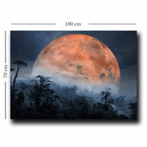 Ukrasna slika na platnu 70100NISC-049