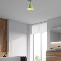 Luster Veysel - N - 679 - Mentgreen