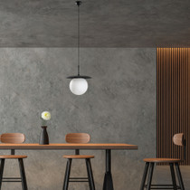 Luster Anemon - 13808