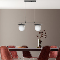 Luster Anemon - 13813