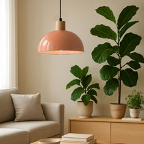 Luster 242025