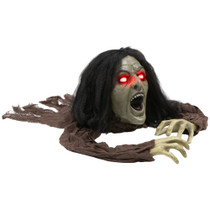 Animirana zombi baka za Halloween, puzi, sa zvukom i svjetlom, smeđa