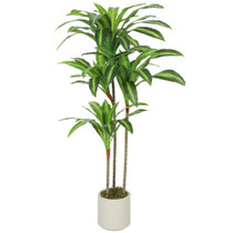 Vještačka dracena s savitljivim stabljikama i bijelom posudom, zelena