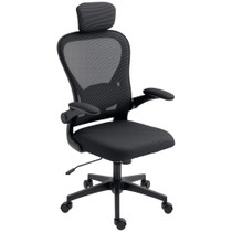 Kancelarijska stolica ergonomska, s podiznim naslonima za ruke, crna