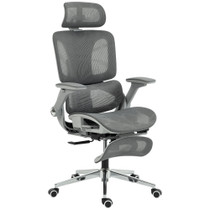 Ergonomska kancelarijska stolica od mreže s 4D naslonima za ruke, siva