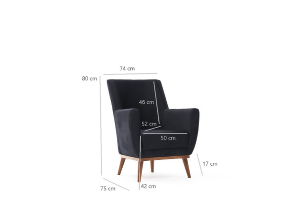 Wing Chair Gonca - antracit