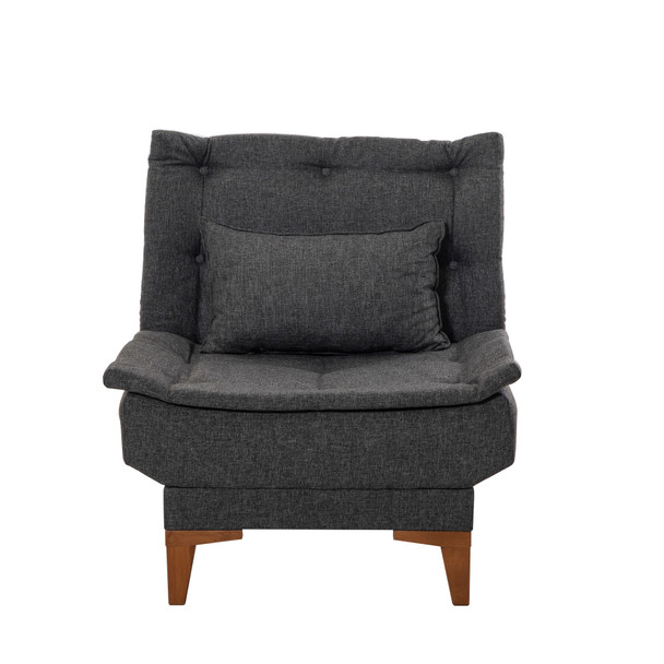 Wing Chair Santo-Antracit