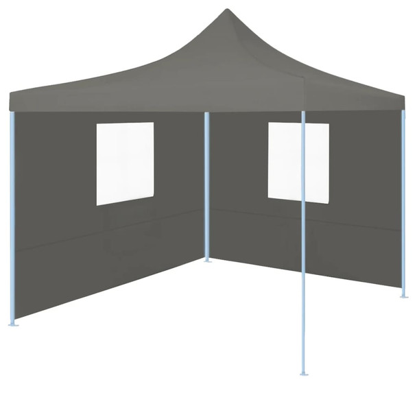 Profesionalni sklopivi šator za zabave 2 x 2 m čelični antracit 48884