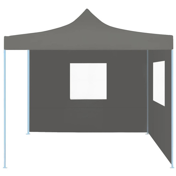 Profesionalni sklopivi šator za zabave 2 x 2 m čelični antracit 48884